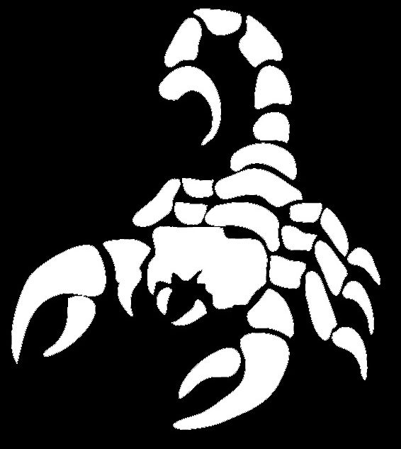 Scorpion Security LLC